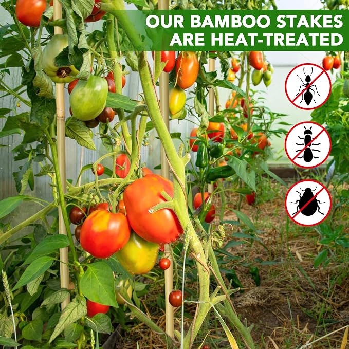60Pcs Bamboo Stakes for Plant 3 Feet, Garden Bamboo Plant Stakes for Plants Support, Climbing Plants, Tomatoes, Sunflowers, Beans, Potted Plants, Trees