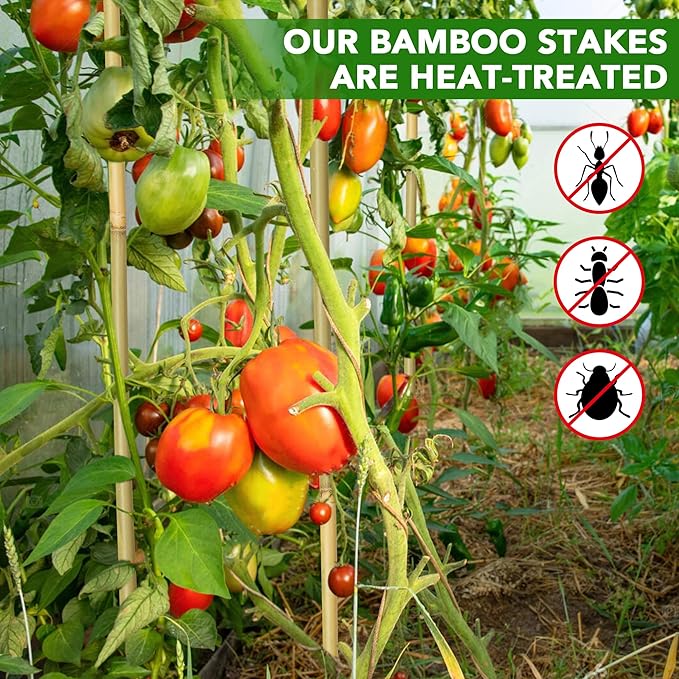70 Pcs Bamboo Stakes, 5 Feet (57.5inch) Natural Bamboo Garden Stakes for Plant, Garden Bamboo Plant Sticks for Plants Support, Tomato, Beans, Vegetable, Trees and Climbing Plants