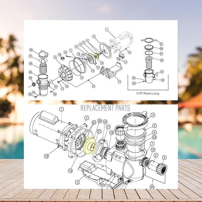 Superflo Impeller 3/4 HP 355043 Compatible with Pentair Superflo, SuperMax, Pinnacle, Challenger 3/4 HP Pool and Spa Pumps - Durable Heavy Duty Pump Impeller Replacement (355043 3/4 HP)