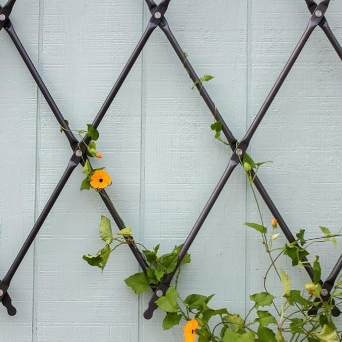Achla FT-32G Designs Wall Mounted Lattice Garden Trellis, Graphite