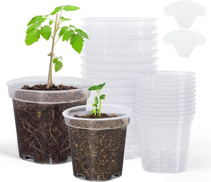 homenote Clear Nursery Pots for Plants,3/4 Inch Plant Pot for Planting Plastic Seedling with Drainage Holes Seed Starter Flower High Transparency with 10 Labels (20 Pack)