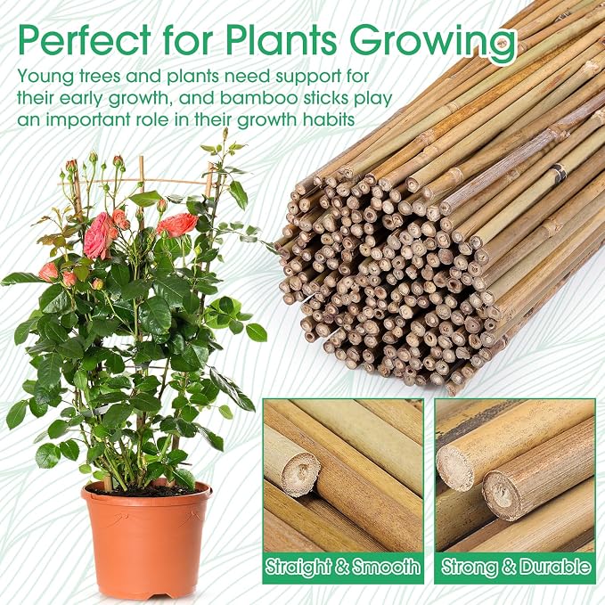 Suclain 200 Pcs Bamboo Plant Stakes Natural Garden Support Sticks for Climbing Plants Sturdy Bamboo Garden Stakes for Tomato, Beans, Flowers and Potted Plants, Vegetables, Indoor & Outdoor (1.35 ft)