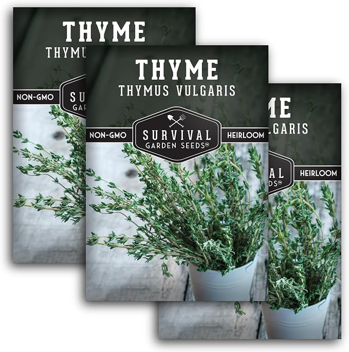Thyme Seeds for Planting – Survival Garden Seeds (3 Packs) | English Thyme Seeds (Thymus Vulgaris) for Home Herb Gardens, Pots, and Kitchen Windowsills – Heirloom, Non-GMO