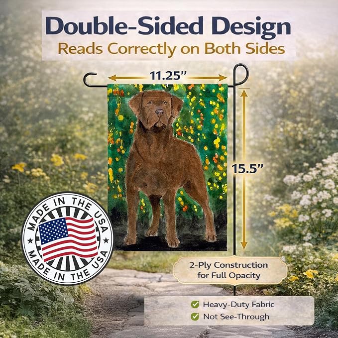 Caroline's Treasures SS8969GF Chesapeake Bay Retriever Garden Flag Mailbox Flag Decorative Yard Flag Banner Outside Patio Artwork Yard Flower Beds, Garden Size, Multicolor