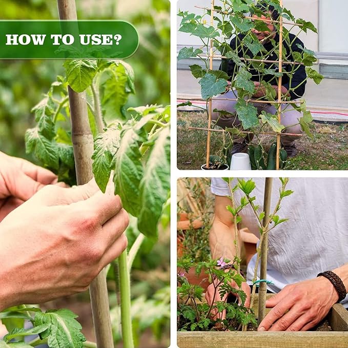 Jollybower 25pcs 7/20" D Thicker Heavy Duty Bamboo Stakes, 3FT Plant Stakes, Natural Garden Stakes for Tomato, Bean, Flowers,Trees Potted and Climbing Plant Support