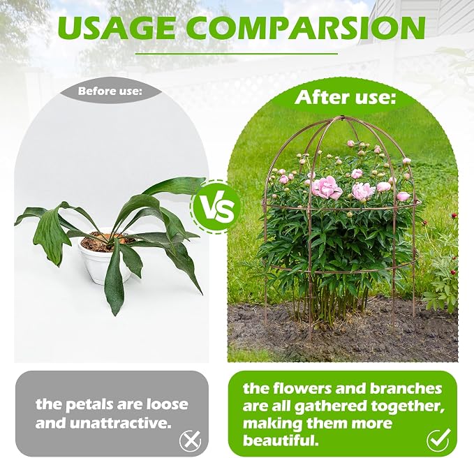 NNG 26 Inch Bird Cage Plant Support, Metal Grow Through Flower Trellis Cage with Dome Top, Garden Plant Support for Peonies Hydrangeas Tomatoes and Climbing Vines