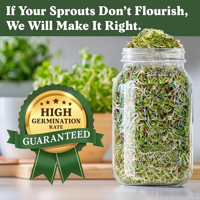 Seedboy Organic Non-GMO Sprouting Seeds, Immune System Booster - USA Grown Microgreens Mix with Broccoli, Purple Radish, Alfalfa - 8 oz Bag Makes 8 Quarts / 32 Servings (Immune System Booster Blend)
