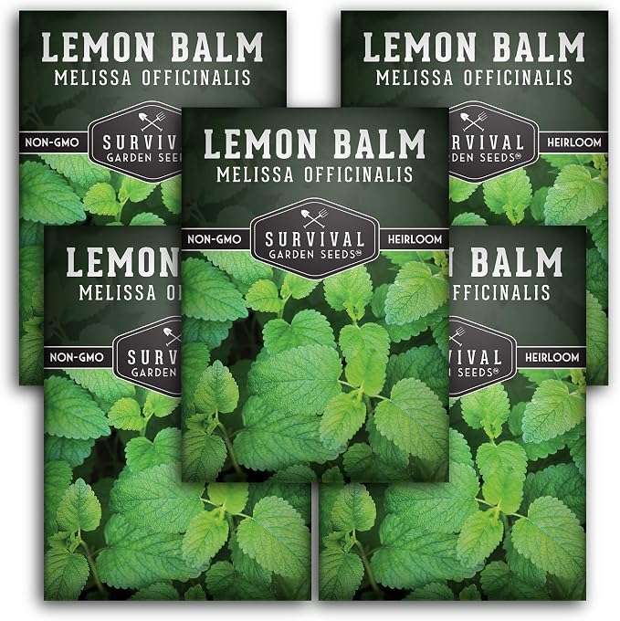 Lemon Balm Seeds for Planting - Melissa Officinalis Herb for Tea and Pollinator Gardens - Soothing Aromatic Perennial Grown Indoors or Outdoors - Heirloom, Non-GMO - Survival Garden Seeds (5 Packs)