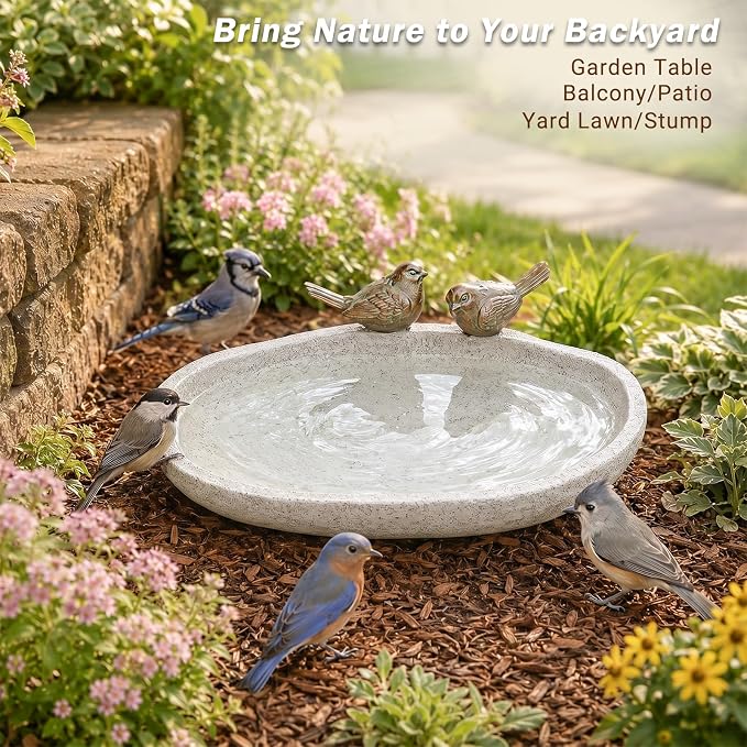 MUMTOP Bird Baths for Outdoors, Outdoor Garden Bird Bath Resin Birdbath Bowl with Vintage Bird Ornament for Outside Yard Table Decor