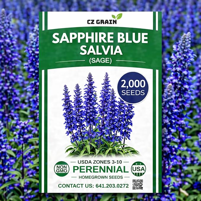 Sapphire Blue Salvia Seeds – 2,000 Heirloom Sage Seeds (Salvia) – Non-GMO Perennial Flower, Vibrant Blue Garden Blooms for Pollinators, Easy to Grow