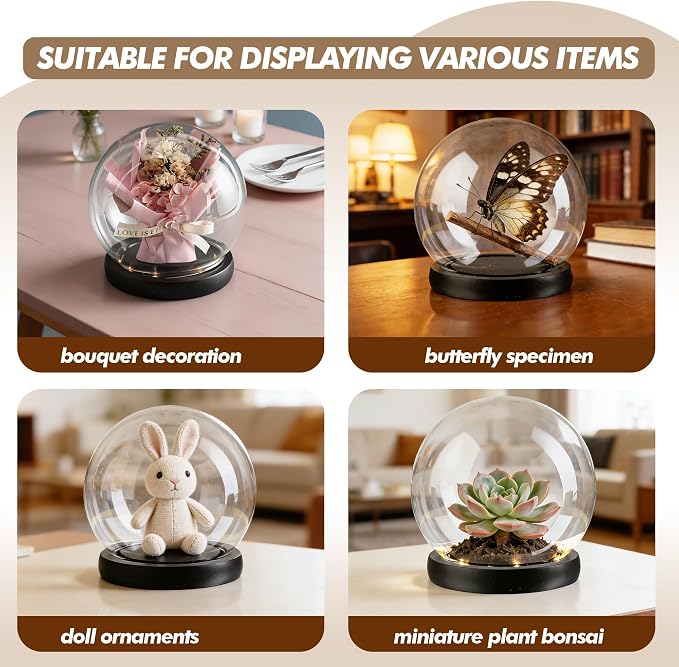 6inch Round Glass Cloche Display Dome with Black LED Lights Base Decorative Glass Display Bell Jar for Plants Keepsakes Collectibles