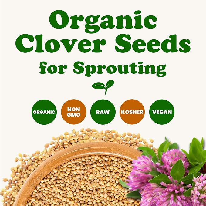 Food to Live Organic Clover Seeds for Sprouting, 1 Pound Non-GMO, Pure, Vegan, Kosher, Bulk. Edible Seeds. Rich in Vitamins, Minerals, Fiber. for Growing Sprouts, Microgreens. High Germitation Rate