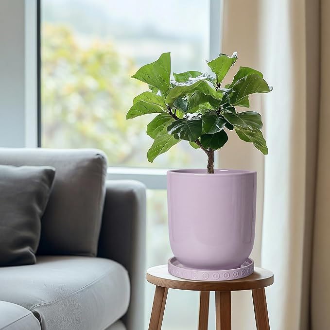 Eightpot Plant Trays for Pots 7.5 Inch, Ceramic Plant Saucers for Indoors Outdoors, Round Flower Pot Saucers, Boho Plants Plates to Catch Water, Decorative Plants Plant Dishes to Catch Water, Purple