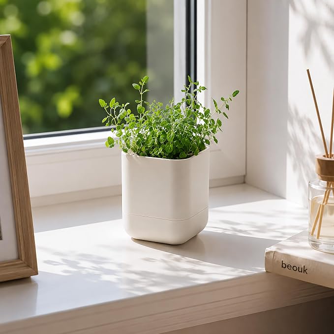 Phoenix Vine 3.5 Inch Wall Mounted Self-Watering Planter Pot for Indoor Houseplants and Herbs | Hanging Planter for Window Sills, Bathroom Walls, Home & Office Décor, Oatmeal, Set of 2, 01-A-G-2