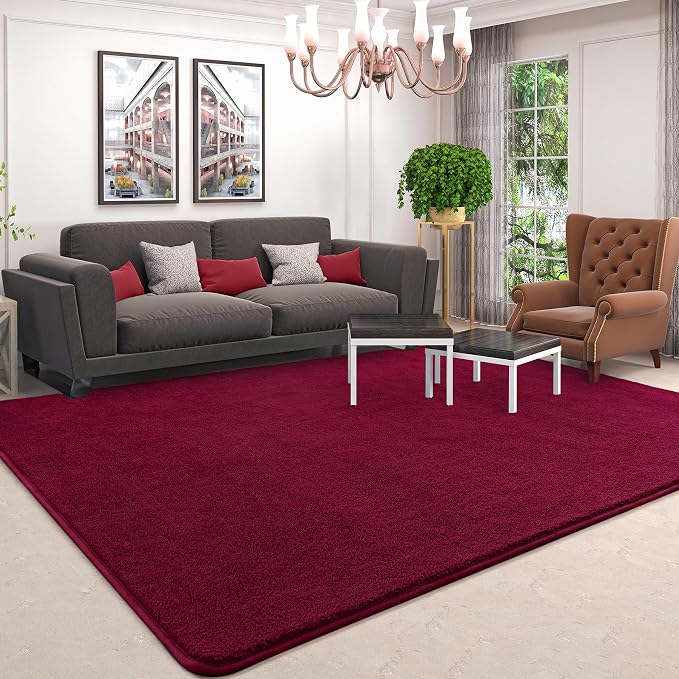AROGAN 5x7 Area Rugs for Living Room Non Slip Dorm Bedroom Rug, Wine Red | Modern Area Rugs with Soft Memory Foam, Minimalist Washable Indoor Floor Carpet for Dining Room Office Kids Playroom Decor
