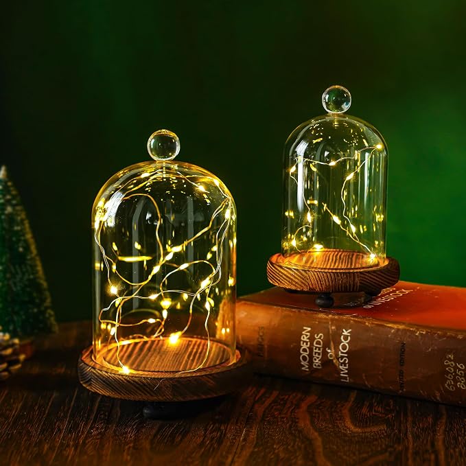 ZEERSHEE Cloche Glass Dome with Wooden Base, Set of 2 Display Bell Jars | Two Sizes Included, Clear Glass Display, Stable Wooden Base for Flowers, Figurines, Candles and Keepsakes