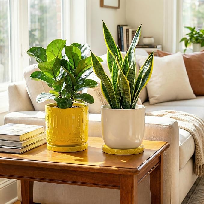 Eightpot Plant Water Catcher Tray 7.5 Inch, 2 Pack Ceramic Plant Saucers for Indoors Outdoors, Round Plants Plates to Catch Water, Modern Decorative Plants Dishes to Catch Water, Yellow