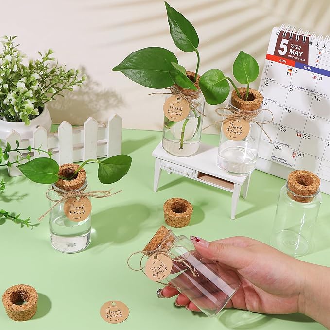 36 Packs Plant Propagation Stations with Hole Lid Clear Plastic Cultivation Bottles Tabletop Hydroponic Containers with Thank You Tags for Home Gardening Office Desktop Decoration