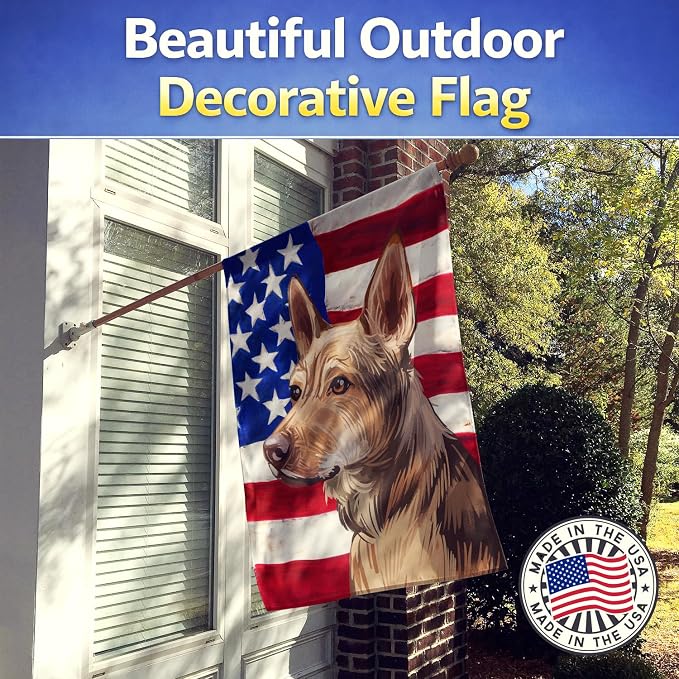 Caroline's Treasures CK6736CHF Telomian American Flag House Flag Large Porch Sleeve Pole Decorative Outside Yard Banner Artwork Wall Hanging, Polyester, House Size, Multicolor