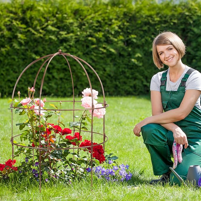 NNG 26 Inch Bird Cage Plant Support, Metal Grow Through Flower Trellis Cage with Dome Top, Garden Plant Support for Peonies Hydrangeas Tomatoes and Climbing Vines
