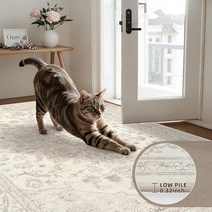 5x7 Area Rugs Living Room: Bedroom Washable Carpet Beige White | Vintage Boho Soft Small Indoor Decor Floor Non-Slip Low Pile Neutral Farmhouse Entryway Laundry Bathroom Bedroom Beside Rugs