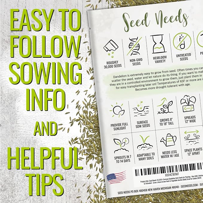 Seed Needs Dandelion Seeds 30,000 Herb Seeds Non GMO Bulk Pack