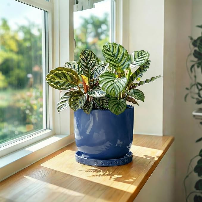 Eightpot Ceramic Plant Saucer, Plant Water Catcher Tray for Indoor Outdoors, 5.6 Inch Plant Pot Saucers, Round Plants Plates to Catch Water, Boho Decorative Plants Dishes to Catch Water, Blue