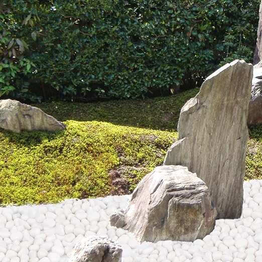 Pulovin 20 lbs White Rocks for Plants Indoor, 1-2 inch Decorative Garden Stone Outdoor Landscaping, Walkways, Yard, Large Polished River Rocks for Plants Pots, Vases, Crafts