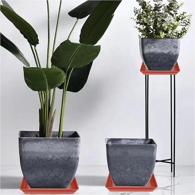 LWALRS 5 Pack Square Plant Saucer, Plastic Plant Water Dray Tray 6 Inch, Heavy Plant Trays for Pots, Planters for for Pots Base Indoors and Outdoors Plants.(6 inch, Terracotta