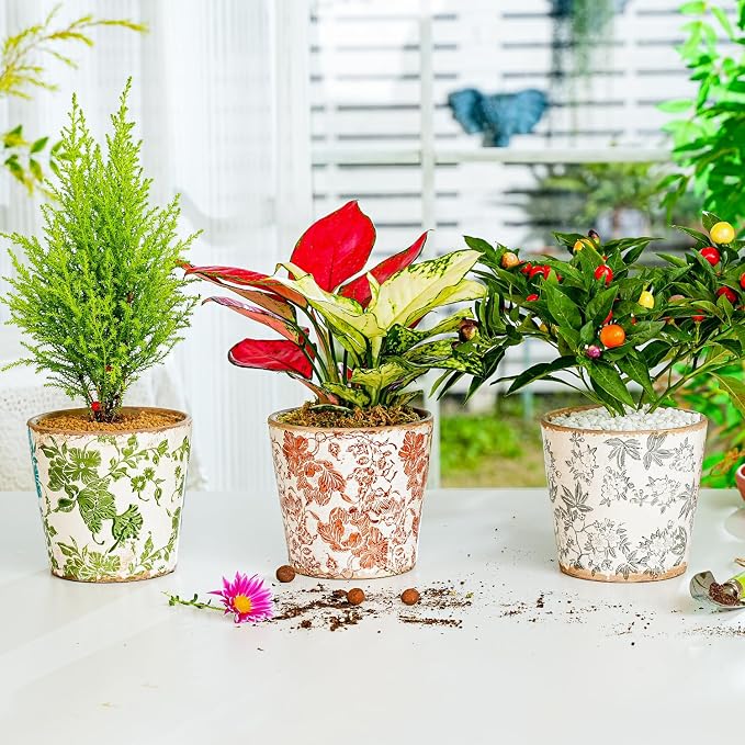 Sungmor Vintage Ceramic Planter Set of 3 - Decorative Indoor & Outdoor Flower Pots with Drainage Holes - Tuscan Décor Pots, 5.5" Ice Crackle Glaze Planters for Home, Kitchen, Patio, and Garden
