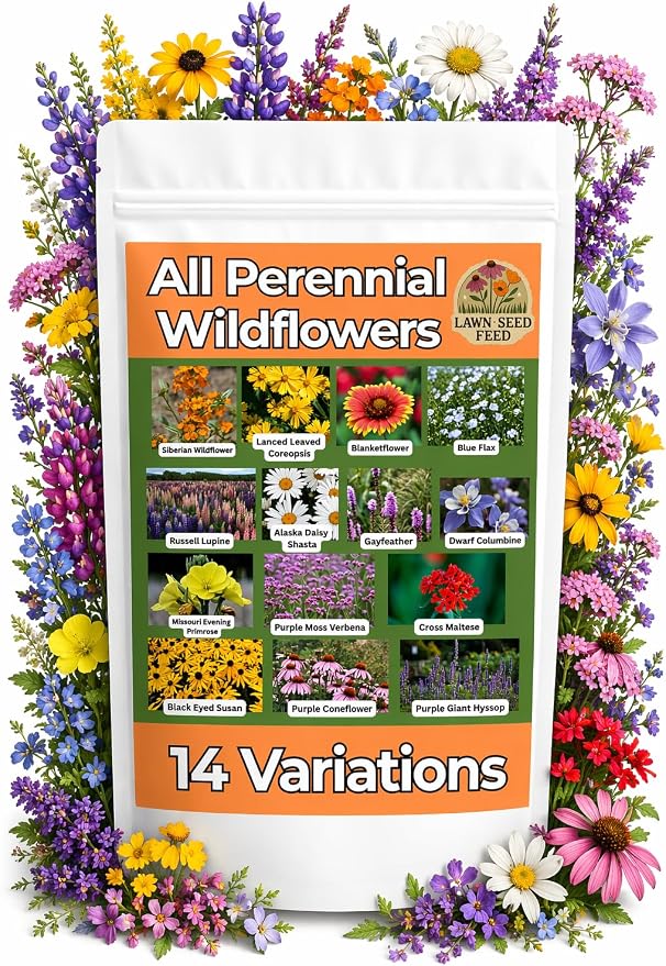 All Perennial Wildflower Seed Mix (2oz) Long-Blooming Flowers for Pollinators, Hardy Perennials for Gardens, Meadows & Landscapes