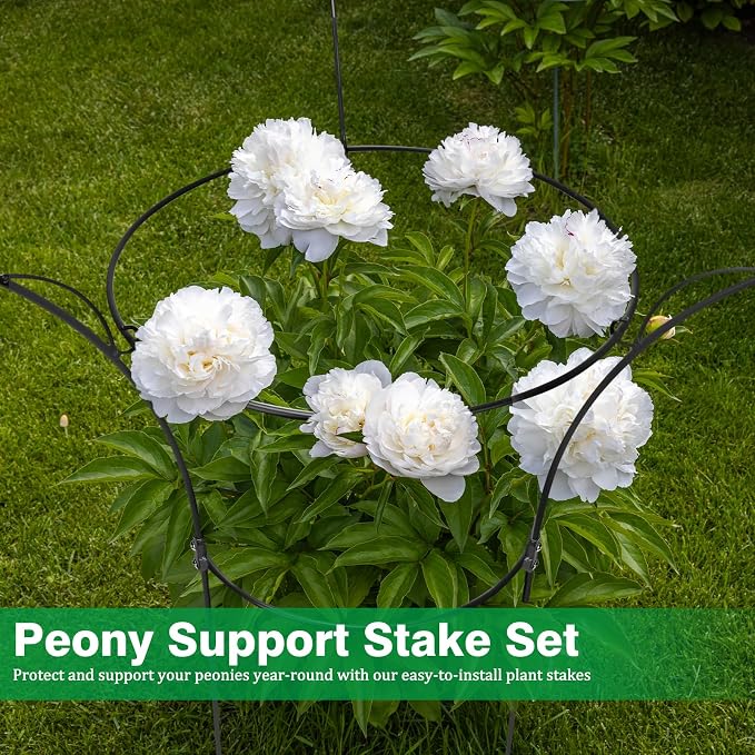 4 Pack Peony Cages and Supports Cages 13" D x 22.8" H Heavy Duty Metal Support Frame for Peonies & Roses Natural Bouquet Shape Garden Stakes for Outdoor Plants Flowers Ornamental (Black)