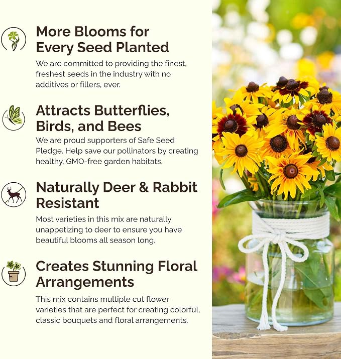 Eden Brothers Daisy Crazy Flower Mixed Seeds for Planting, 1/4 lb, 120,000+ Seeds with Creeping, Painted, Yellow Daisy | Attracts Pollinators, Plant in Spring or Fall, Zones 3, 4, 5, 6, 7, 8, 9, 10