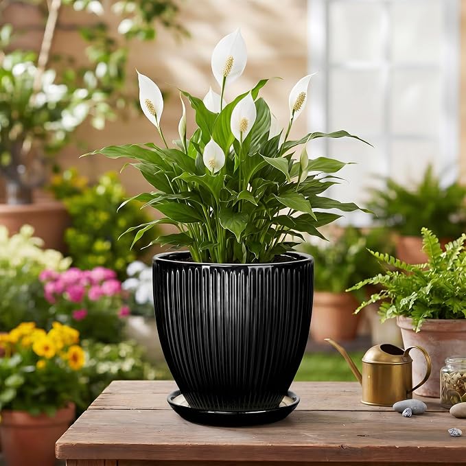 6 Inch Ceramic Planter, Indoor Plant Pots for Small Plants, Decorative Flower Pots with Drainage Hole and Saucer, Round Pot for Plants, Office Bathroom Decor, Gifts for Plant Lovers, Black