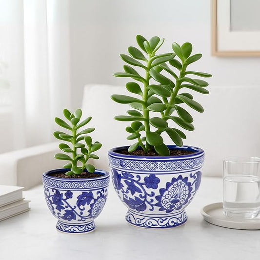 Set of 2 Bowl Chinoiserie Decorative Planter Pot with Drainage – Ceramic Outdoor & Indoor Plant Pot – Modern Garden & Home Decor Planters – 5" & 7", Blue & White