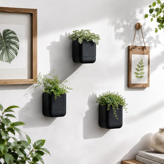 Phoenix Vine 3.5 Inch Wall Mounted Self-Watering Planter Pot for Indoor Houseplants and Herbs | Hanging Planter for Window Sills, Bathroom Walls, Home & Office Décor, Black, Set of 1, 01-A-E-1