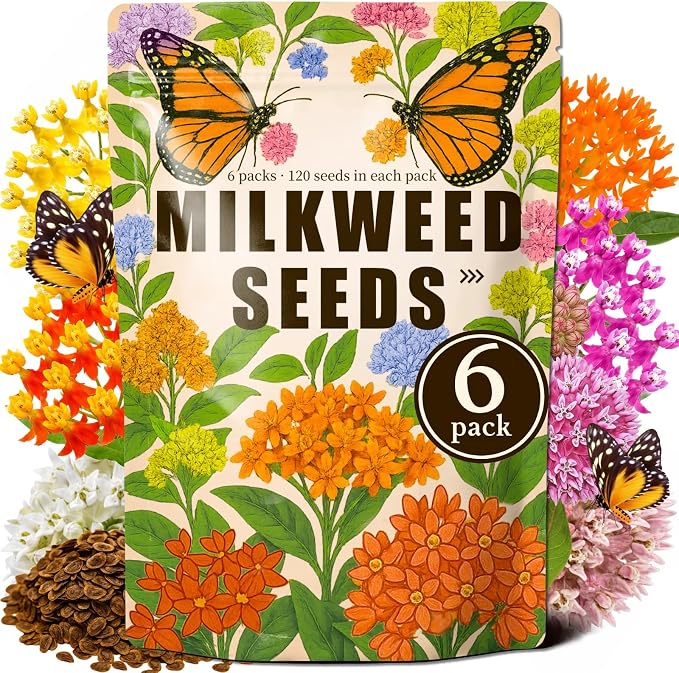 720+Mix Milkweed Seeds (Asclepias) for Monarch Butterflies - 6 Individual Varieties Perennial Wildflower Colorful Pollinator Garden (Each pack120+ Seeds)., Easy to Grow for Backyard & More