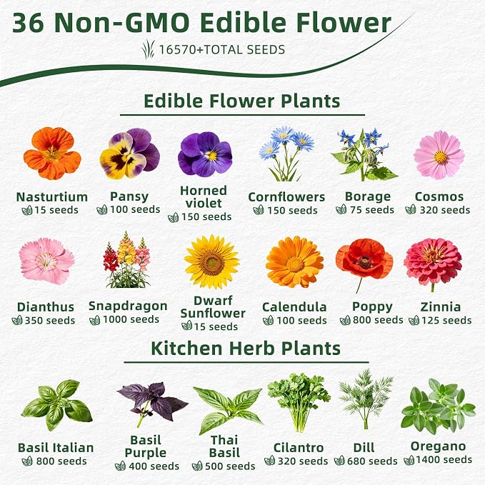 36 Edible Flower Seeds Variety Pack, 16,570+ Premium Garden Seed Vault Kit, Pollinator Friendly, Indoor & Outdoor Year Round Planting – Nasturtium, Lavender, Borage, Calendula, Chamomile & More