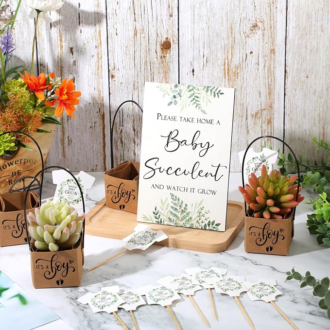 Geetery 101 Pcs Succulent Baby Shower Party Favor 1 Wooden Table Sign 50 Tags and 50 Kraft Succulent Pots for Guest Baby Shower Favors Gifts(Boy)