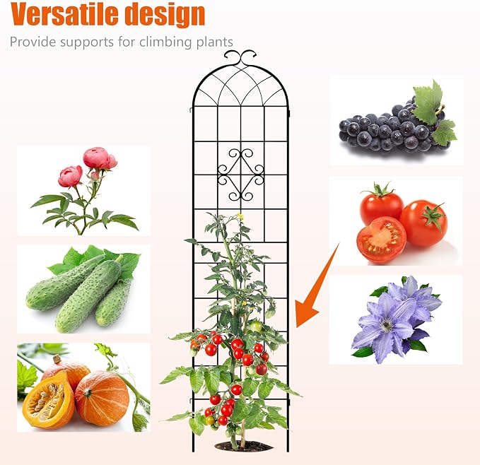 LZRS 2 Pack 78.7x20in Rustic Iron Arch Decoration Garden Trellis with Black Metal Coating – Perfect for Supporting Climbing Plants Outdoor, Roses, Vines, Flowers, and Vegetables.