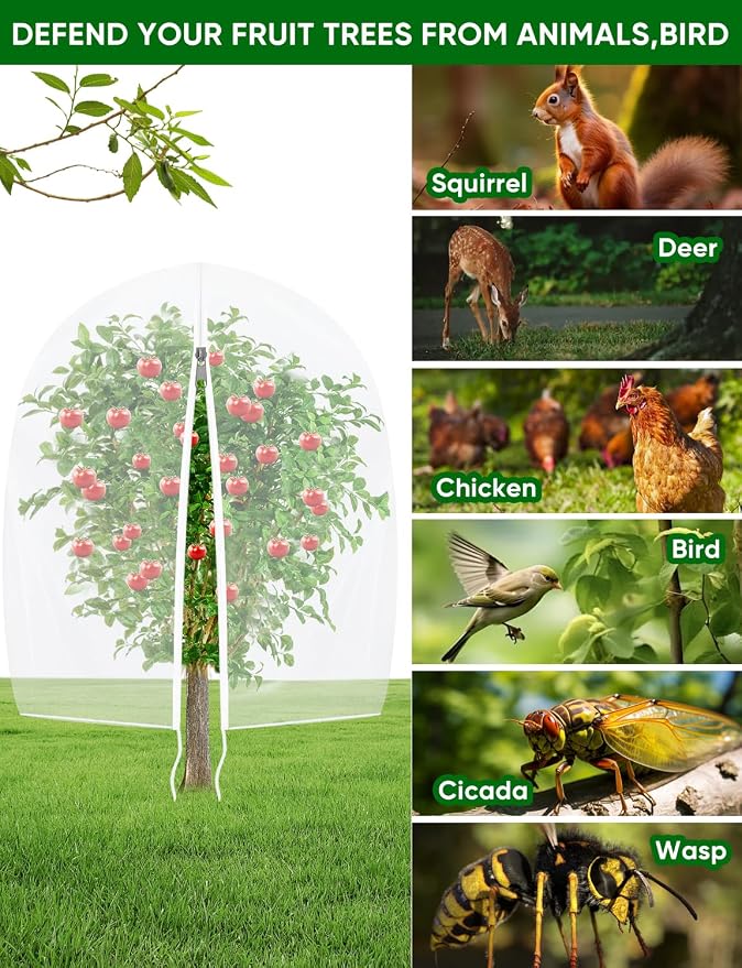 Fruit Tree Netting for Cicadas - with Zipper 2 Pcs 6 x 5.3FT Garden Bird Netting for Blueberry Bushes with Drawstring,Insect Plant Protection Mesh Net Bags for Tomato,Cicada,Animals (2, 5.3 x 6 FT)