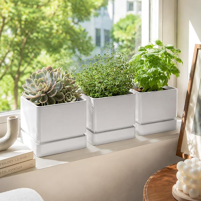 D'vine Dev 6 Inch Herb Planter Pot, Plastic Planter with Drainage Holes and Saucer, Modern Decorative Gardening Pot for Indoor Plants, Flowers, Herbs, Succulents, White, Set of 3, 76-Y-A3-2
