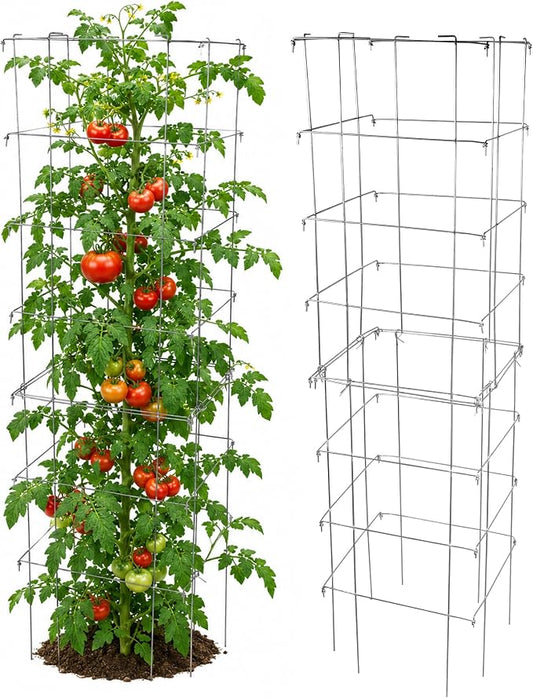 Garden Elements Square Tomato Cage, 67 Inch (Pack of 2) - Heavy Duty Galvanized Steel Plant Support with Adjustable Height and 8-Leg Stability for Climbing Vegetables & Vines