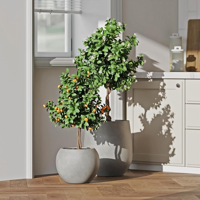 DTY Premium Mt Sherman Fiberstone Sphere Planter for Indoor Outdoor Use, Round Pot for Olive Tree, Lightweight, Smooth Finishes. 2 Extra Coco Mats. Gray, Large 21.1'' D x 16.7'' H. 14.6” Pot Opening