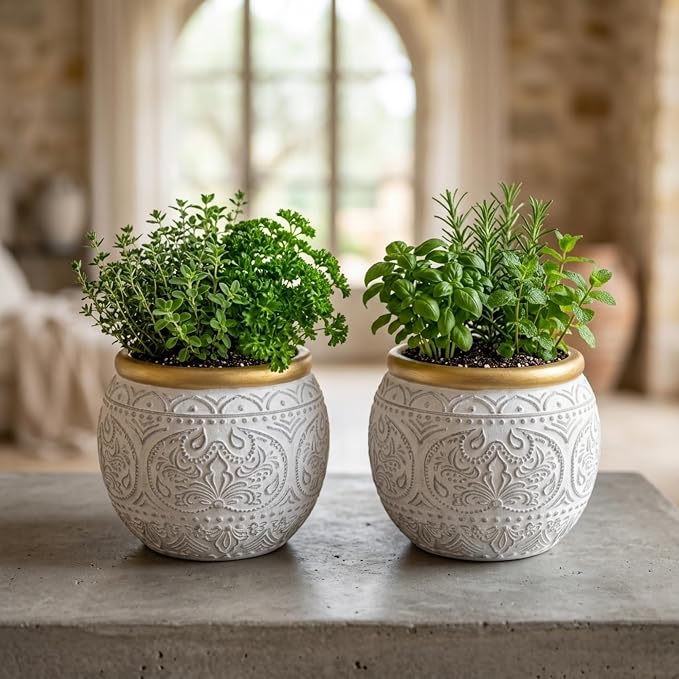 2Pcs 5.9 Inch Cement Planters, Vintage Planter with Gold Rim and Drainage Holes, Decorative Indoor Containers for Succulents, Herbs, Home & Office