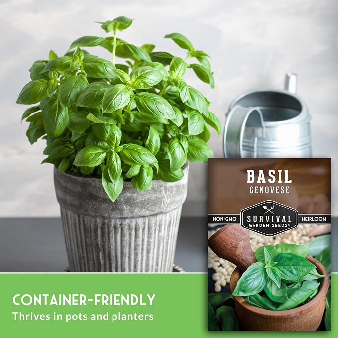 Genovese Basil Seeds for Planting – Survival Garden Seeds (5 Pack) | Sweet Italian Herb for Pesto & Culinary Dishes – High Germination Heirloom, Non-GMO Seed for Growing Indoors or Outdoors