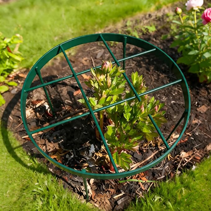 Peony Cage Outdoor Support - Durable Metal Garden Brace for Tall Plants, 18.9" Top, 23.6" Long Round Flower Rings, Easy Assembly, Perfect for Dahlias & Climbing Plants - Ideal Gardening Gift