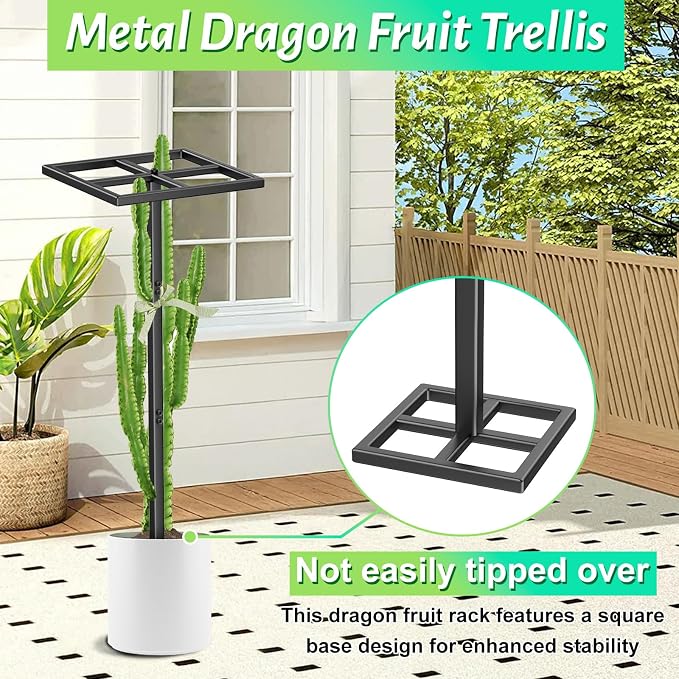 2 Pcs Metal Dragon Fruit Trellis, Durable Adjustable Dragon Fruit Stand Gardening Support for Vertical Climing Plants Trees Cactus Garden Outdoor Indoor Potted Support 8''×12''×45''