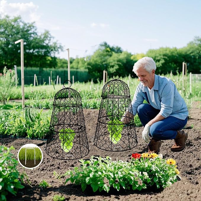 6 PCS 17.7"H X 11.42"D Garden Cloches,Chicken Wire Plant Covers Protectors Modular Design for Customizable Protection,Rust-Proof Heavy Duty Metal Plant Cage for Seedlings Flowers Protect from Animals