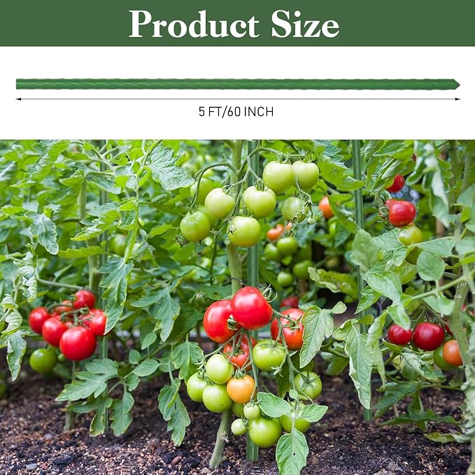 Tanlade 100 Pack 5 Ft/60 Inches Garden Plants Stakes Tomato Stakes Steel Metal Plant Sticks Support with Plastic Coated Sturdy for Tomato, Beans, Peppers, Trees, Outdoor Indoor Climbing Plants